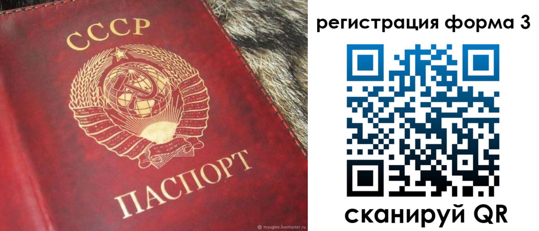 прописка регистрация в Гороховце